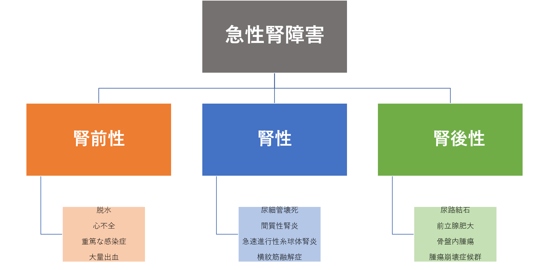 第50回：急性腎障害とは？ | 岩本クリニック